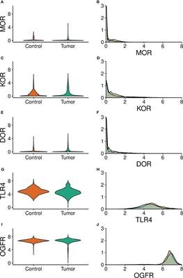 Solid Tumor Opioid Receptor Expression and Oncologic Outcomes: Analysis of the Cancer Genome Atlas and Genotype Tissue Expression Project